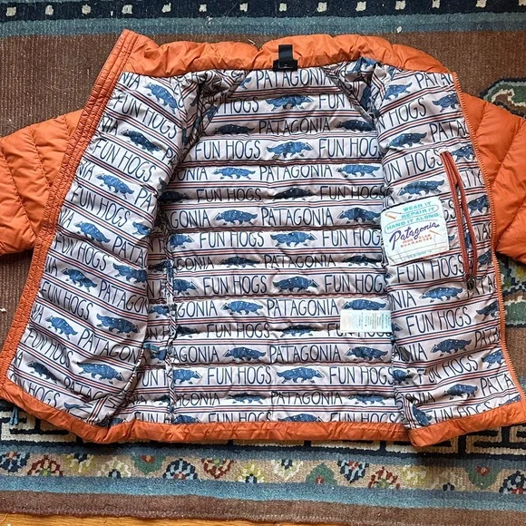 Patagonia Kids’ Down Puffer - Picture 2 of 7